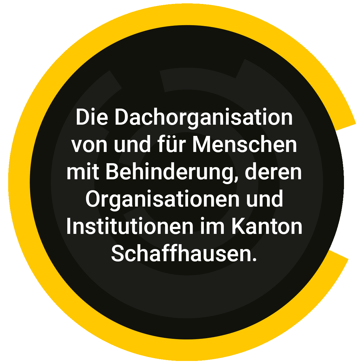 Die Dachorganisation von und für Menschen mit Behinderung, deren Organisationen und Institutionen im Kanton Schaffhausen.